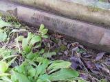 image of grave number 544361